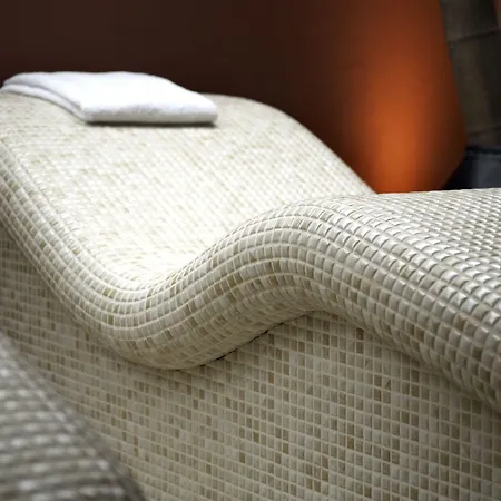 Comwell Borupgaard Hotel 4*