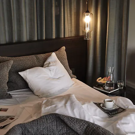 Comwell Borupgaard Hotel 4*