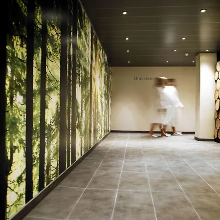 Comwell Borupgaard Hotell 4*