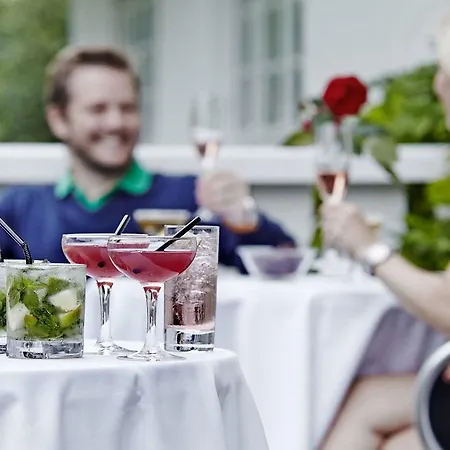 Comwell Borupgaard Hotel 4*