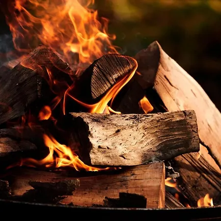 Comwell Borupgaard 4*