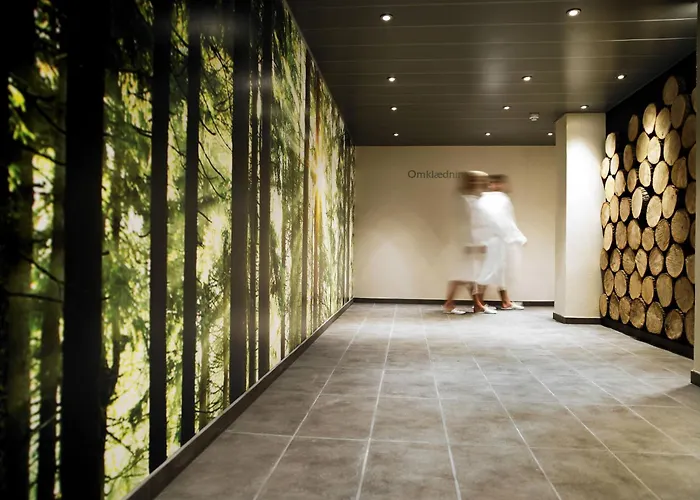 Hotel Comwell Borupgaard 4*