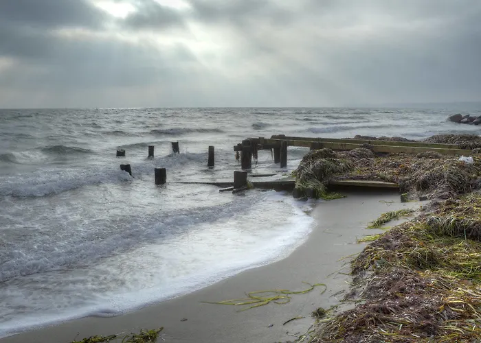 Comwell Borupgaard 4*