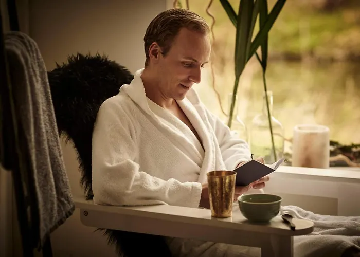 Comwell Borupgaard Отель