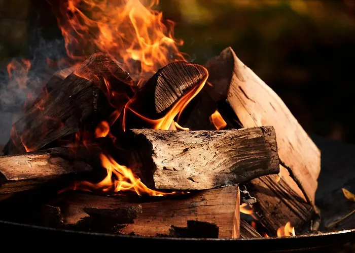 Comwell Borupgaard 4*