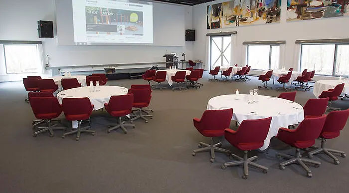 Comwell Borupgaard Hotel 4*